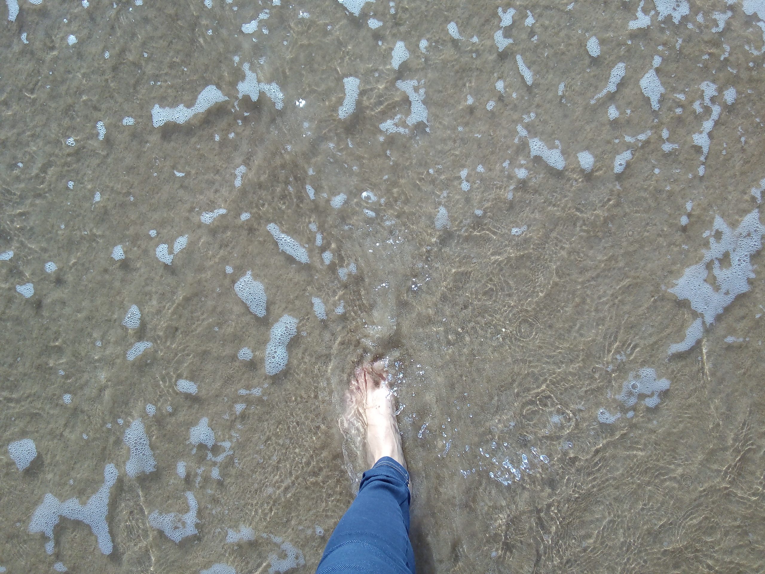 Así queremos las playas, limpias.