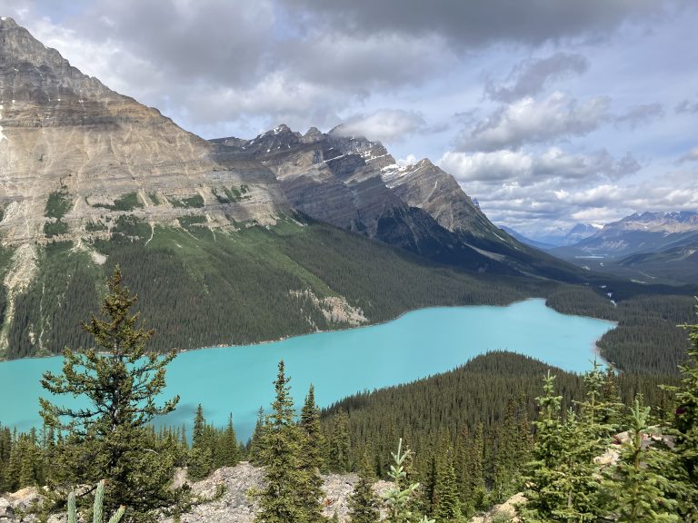 Costumbres poco sostenibles