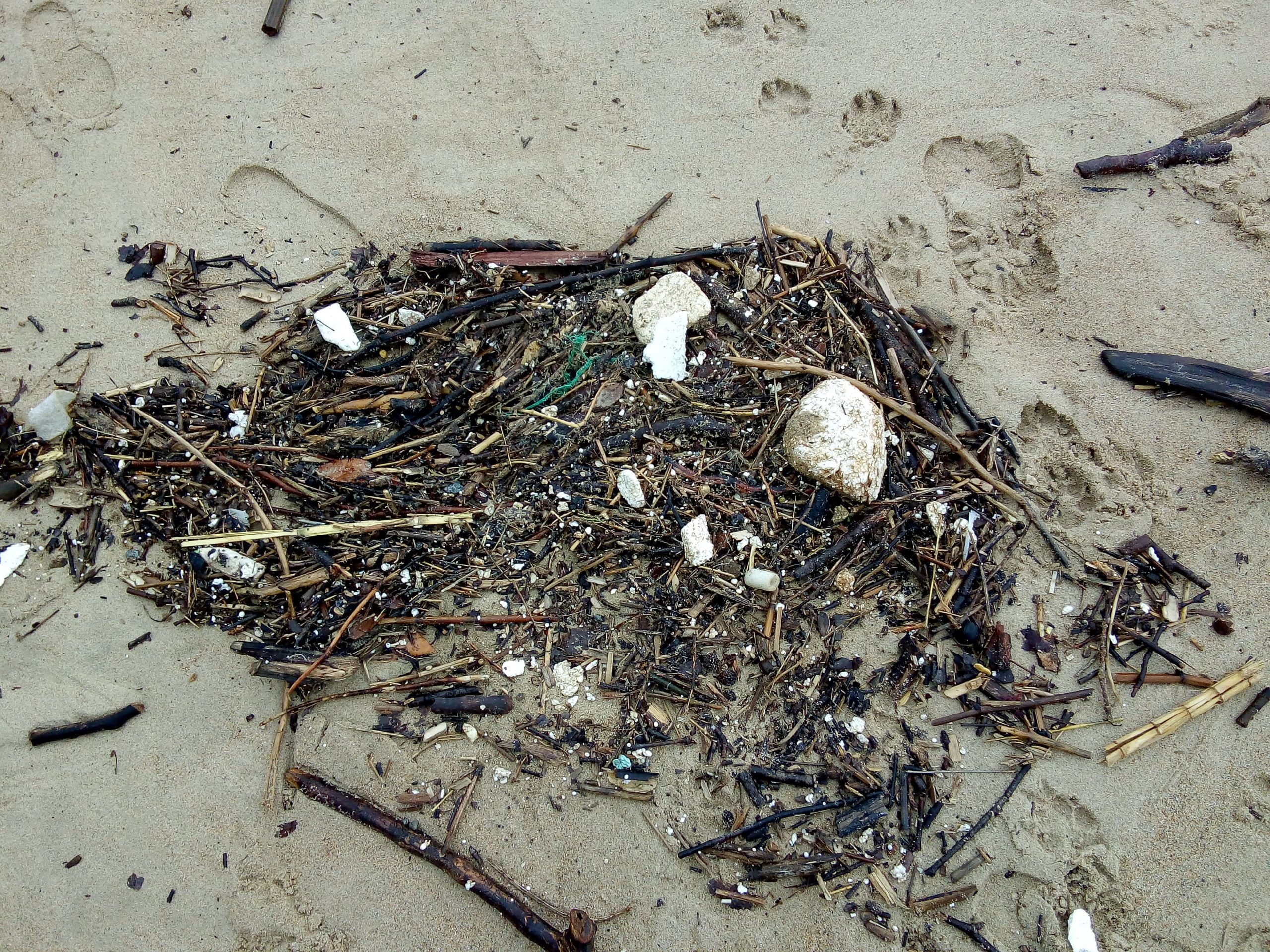 Así vemos las playas